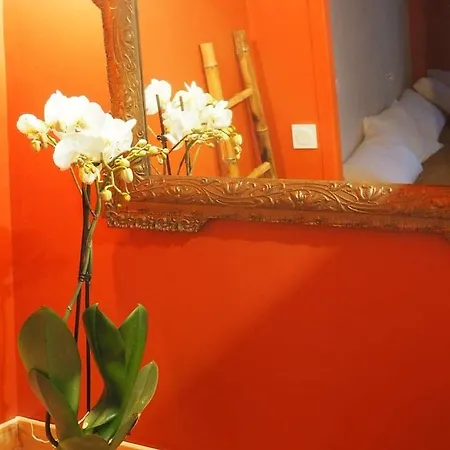 La Terrasse Vigneronne Fitou