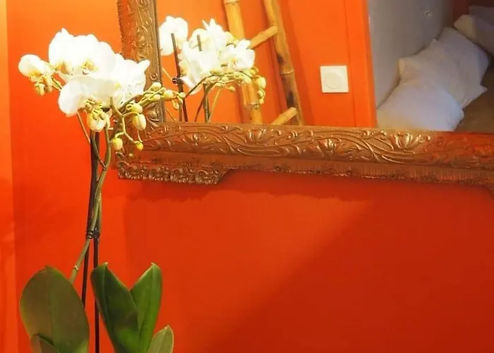 La Terrasse Vigneronne Fitou